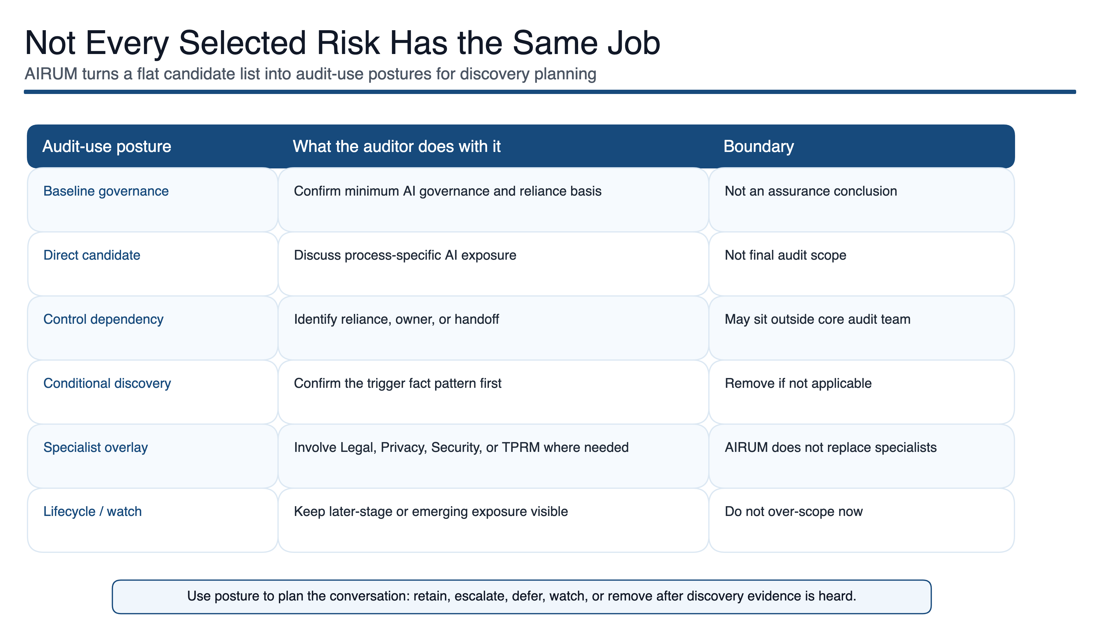 AIRUM selected risk audit use postures